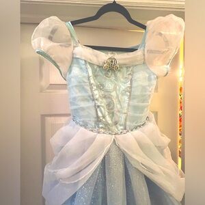 CINDERELLA Disney Parks Premium Castle Collection Dress - Costume